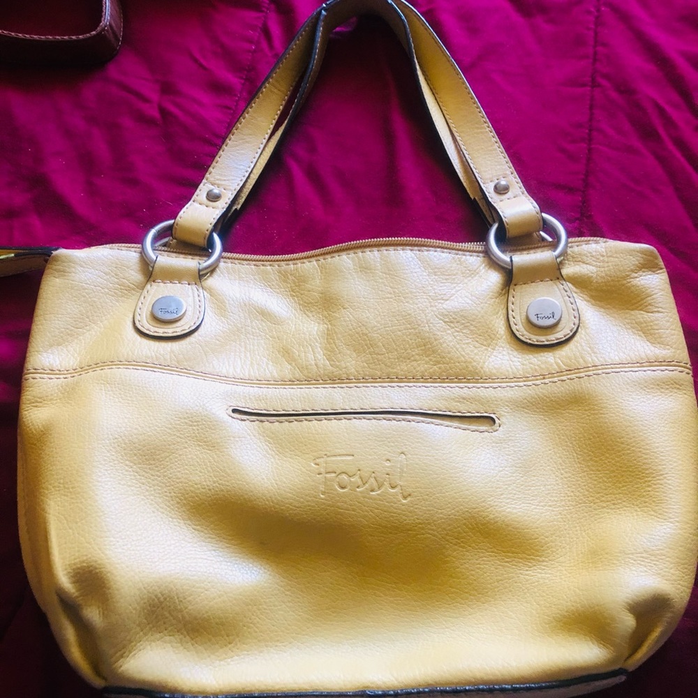Yellow fossil purse